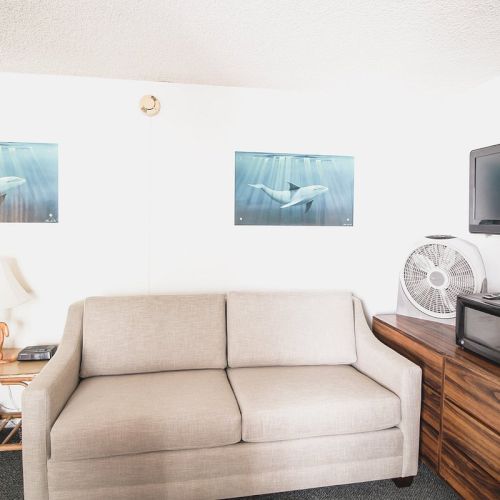 A small living room with a beige couch, two whale posters, a lamp, a phone, a TV, a fan, and a microwave on a wooden dresser.
