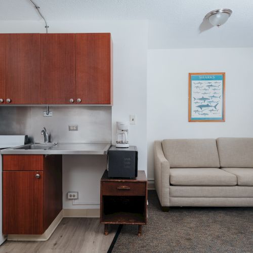 A small kitchenette with a stove, sink, and wooden cabinets is next to a beige sofa with a framed poster on the wall.