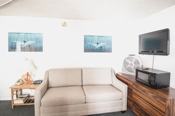 A small living space with a gray sofa, two whale posters, a wall-mounted TV, fan, microwave, lamp, phone, and wooden side table.